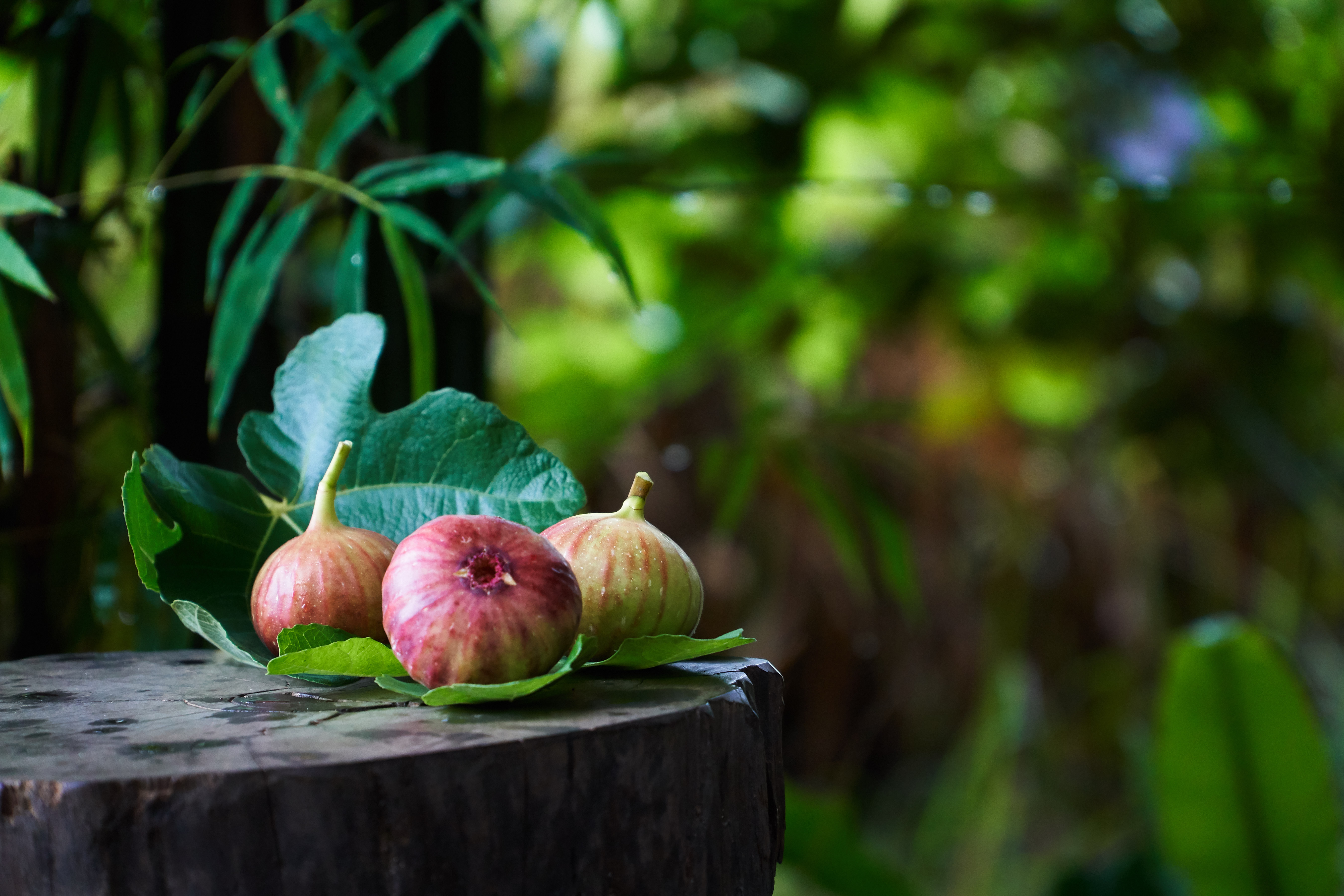 Three ripe figs on a wooden stump with bamboo backdrop