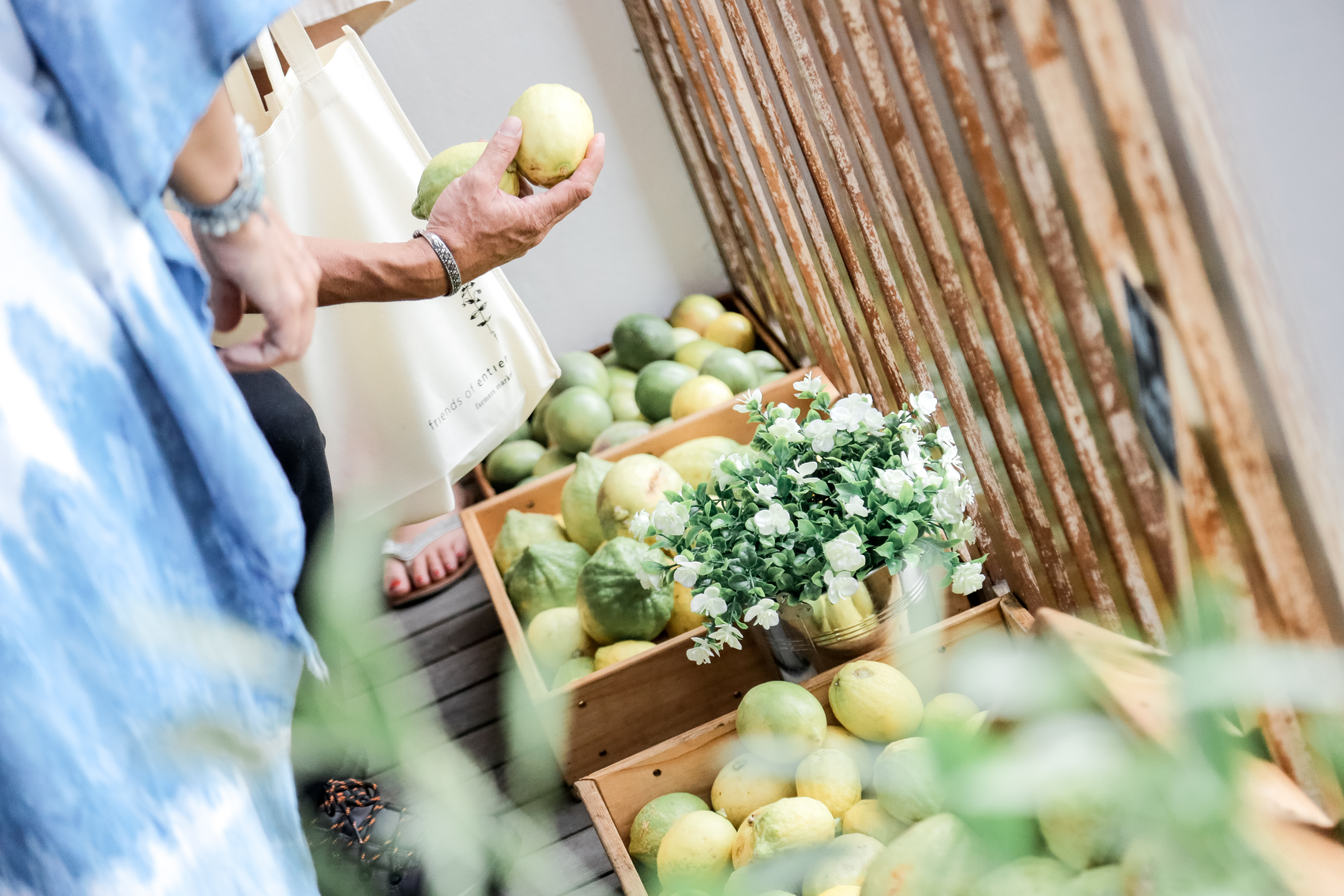 The Superfruits Valley farm gate and bamboo-lined entrance in Chuping, Perlis